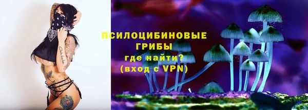 сатива Алзамай