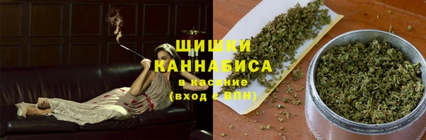 сатива Алзамай