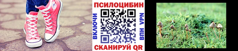 Галлюциногенные грибы мицелий Югорск